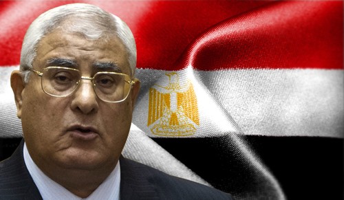Ägypten: Präsidentschaftswahl findet früher als Parlamentswahl statt - ảnh 1